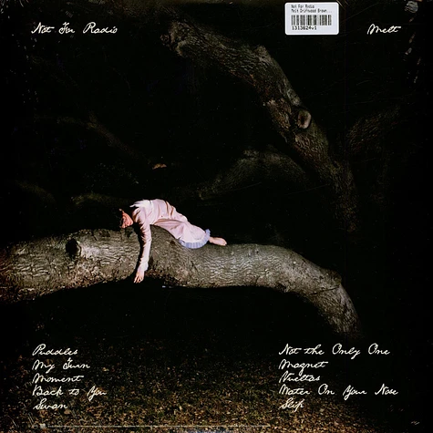 Not For Radio - Melt Driftwood Brown Vinyl Edition - Vinyl LP
