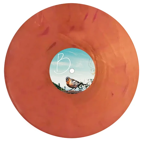 AzudemSK & Dubios - Gesang Nach Sonnenstand Colored Vinyl Edition