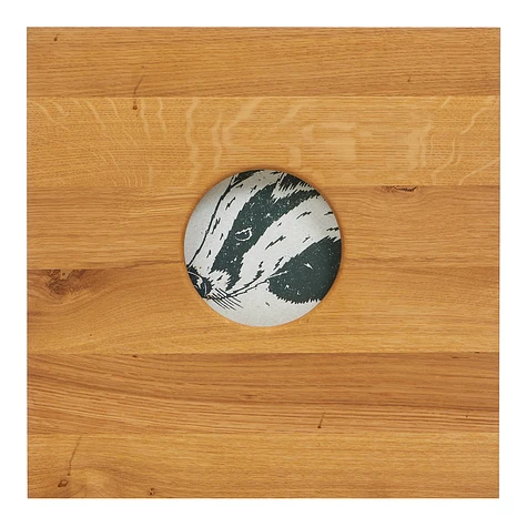 Record Box - Vinyl Showcase Cube for 110x 12" Records
