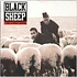 Black Sheep - A Wolf In Sheep's Clothing