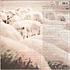 Black Sheep - A Wolf In Sheep's Clothing