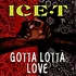 Ice-T - Gotta Lotta Love