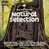 Nature Sounds presents: - Natural Selection