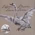 Sufjan Stevens - Seven Swans