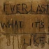 Everlast - What It's Like