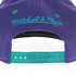 Mitchell & Ness - Charlotte Hornets NBA Logo 2 Tone Snapback Cap