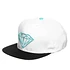 Diamond Supply Co. - Brilliant Snapback Cap