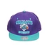 Mitchell & Ness - Charlotte Hornets NBA Patrick Snapback Cap