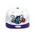 Mitchell & Ness - Charlotte Hornets NBA Grapes Collection Snapback Cap