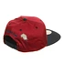 Staple - Mitchell & Ness 2 Tone Pigeon Snapback Cap