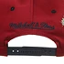 Staple - Mitchell & Ness 2 Tone Pigeon Snapback Cap