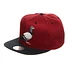 Staple - Mitchell & Ness 2 Tone Pigeon Snapback Cap