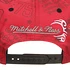 Staple x Mike Tyson - Mitchell & Ness Tyson Snapback Cap