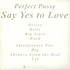 Perfect Pussy - Say Yes To Love
