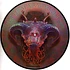 Hail Mary Mallon (Aesop Rock, Rob Sonic & DJ Big Wiz) - Bestiary Picture Disc