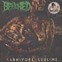 Benighted - Carnivore Sublime Clear Vinyl Edition