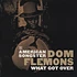 Dom Flemons - What Got Over