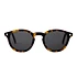 Havana / Grey Solid Lens