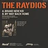 The Raydios - Brand New Kid