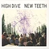 High Dive - New Teeth