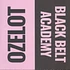 V.A. - Black Belt Academy