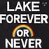 Lake - Forever Or Never