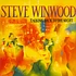 Steve Winwood - Talking Back To The Night