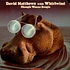 Dave Matthews With Whirlwind - Shoogie Wanna Boogie