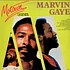 Marvin Gaye - Motown Legends