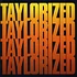 Terry Taylor - Taylorized