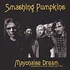 The Smashing Pumpkins - Mayonaise Dream: Broadcast From Tower Records July 1993