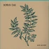 Rowan Oak - Hope And Ruin EP Limited Edition Silk Screen B-Side