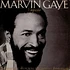 Marvin Gaye - Motown Superstar Series Volume 15