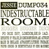 Jesse - Indestructable / Room