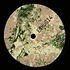 Ivano Tetelepta & Jocelyn Abell - Split 02 EP