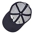 Patagonia - P-6 Logo LoPro Trucker Hat