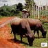 Bahnar - Music Of The Bahnar People From The Central Highlands Of Vietnam