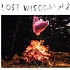 Mount Eerie With Julie Doiron - Lost Wisdom Part 2