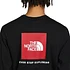 The North Face - L/S Red Box Tee