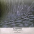 Caspian - You Are The Conductor 15th Anniversary Seafoam Vinyl Ediiton