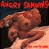 Angry Samoans - Back From The Grave