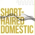 Short-Haired Domestic - Short-Haired Domestic