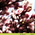 Tara Clerkin Trio - In Spring EP