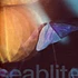 Seablite - Breadcrumbs