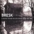 Bresk - A Journey Through The Life Of Peder Balke