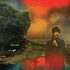 Sharon Van Etten - We've Been Going About This All Wrong Smoke Marbled Vinyl Edition