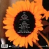 Bettie Serveert - Palomine 30th Anniversary Orange Vinyl Edition