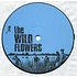 The Wild Flowers - The Joy Of It All