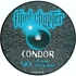 Condor - Sky