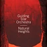 Guiding Star Orchestra - Natural Heights